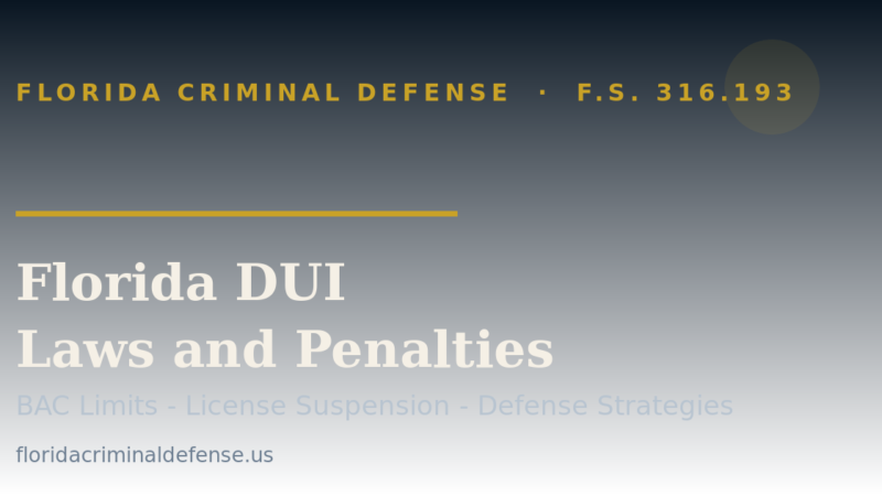 Florida DUI laws guide covering F.S. 316.193 penalties, license suspension, and defense strategies
